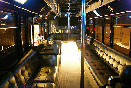 Rent A Party Bus / Limo For your Weekend