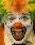 Novelty Acts - Clowns for Hire